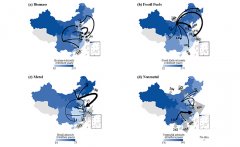 化工系朱兵团队在中国省域和行业物质足迹的研